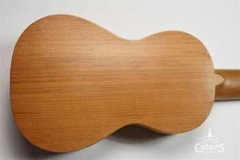 ukulele concert 14 FA.S